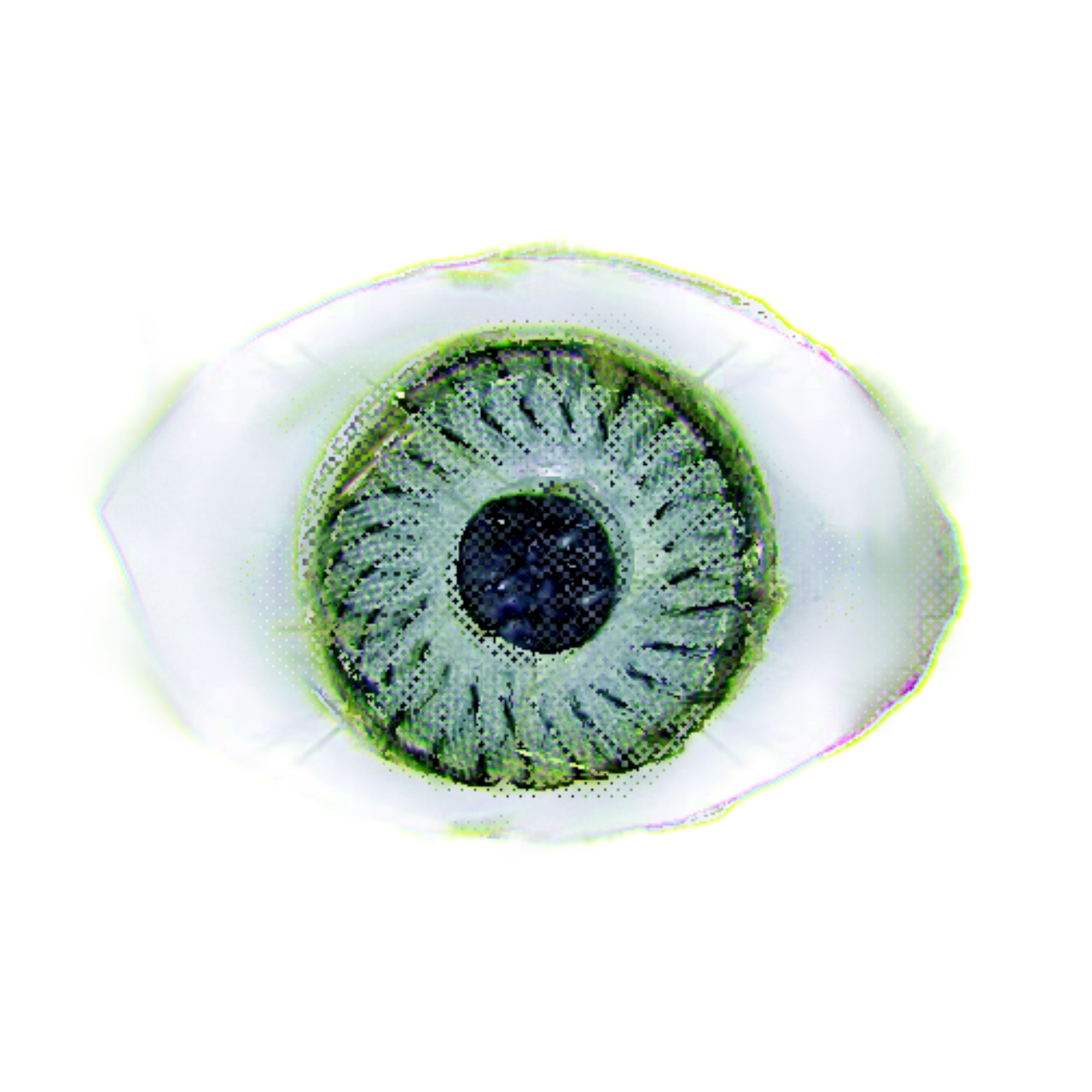 eeeye